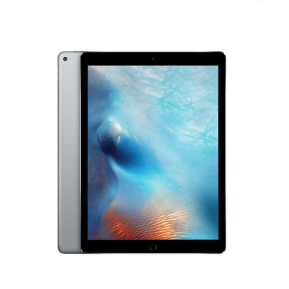 iPAD Pro 1st Generation 13" Space Grey 128 GB - Picture 1 of 5
